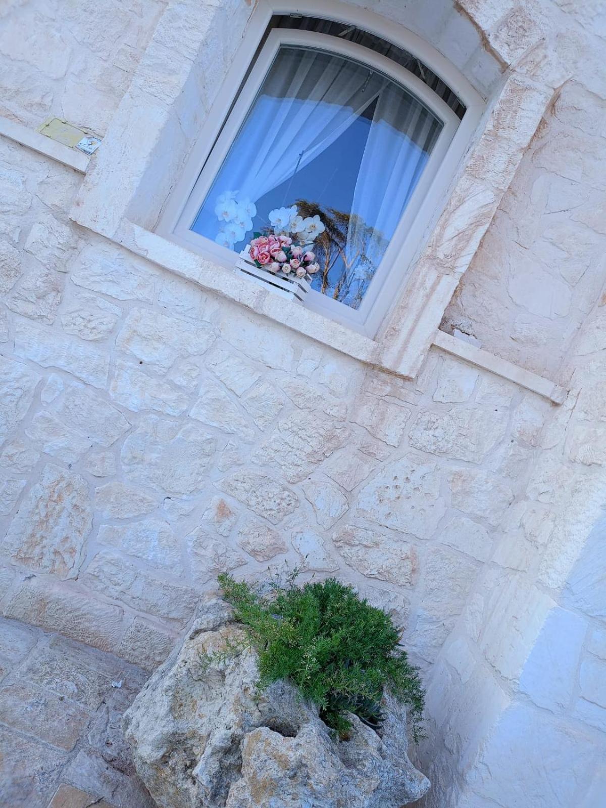 Villa Brachychiton Ostuni Buitenkant foto